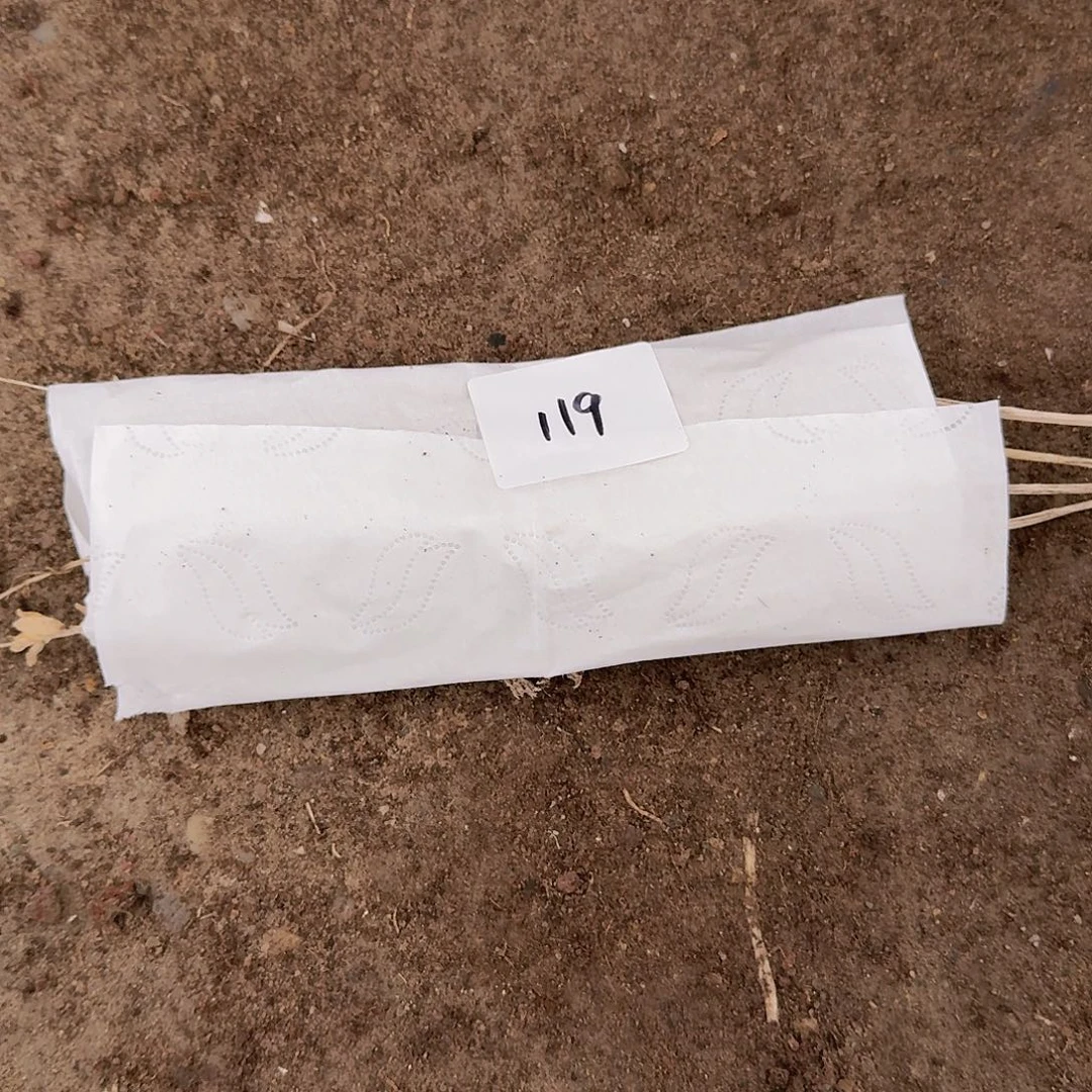 直播福利一物一拍119