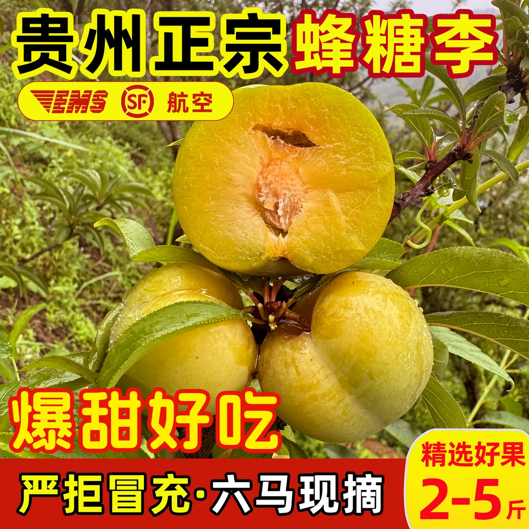 蜂糖李 贵州安顺新鲜农家镇宁六马蜂糖李子冰青脆脱骨李纯甜无酸