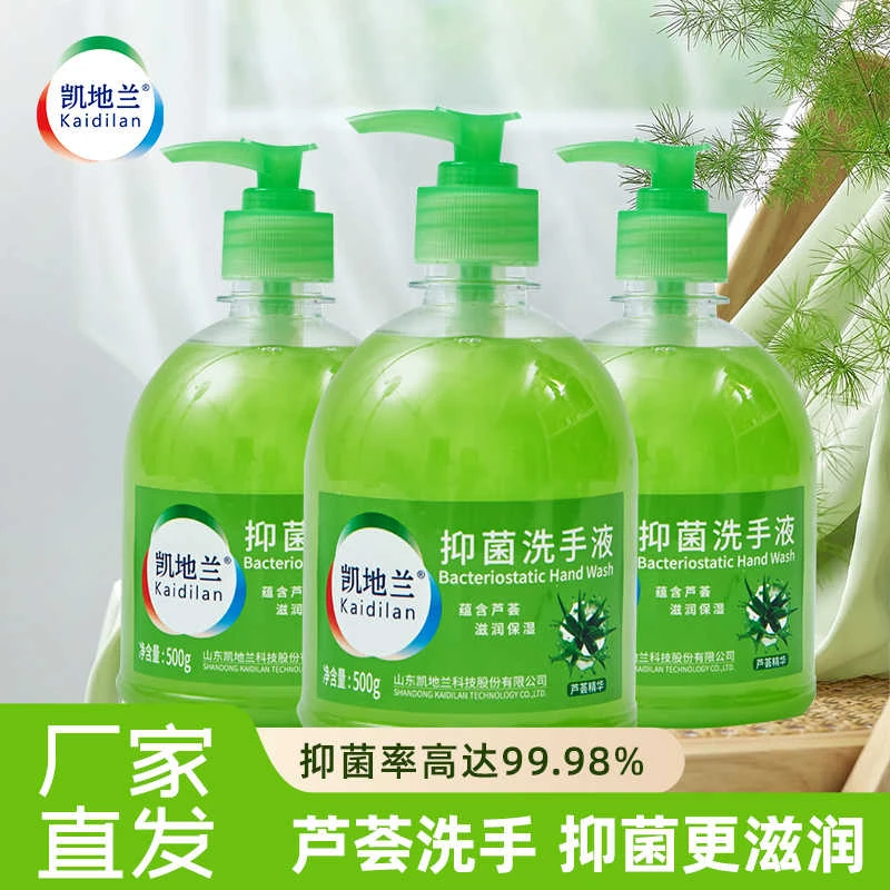 凯地兰抑菌洗手液芦荟无磷清香型滋温和润清洁保湿家用儿童易清洁