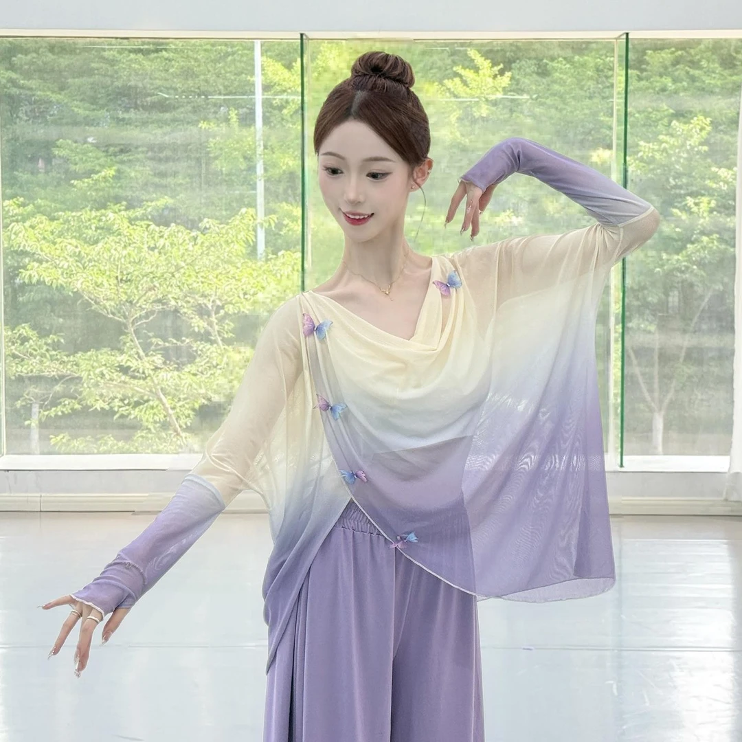 古典渐变练功上衣中国服舞蹈蝴蝶网纱夏韵罩衫宽松现代舞纱衣