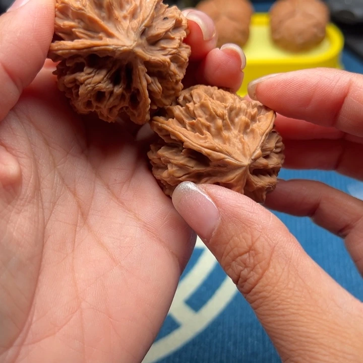 核桃文玩核桃三棱