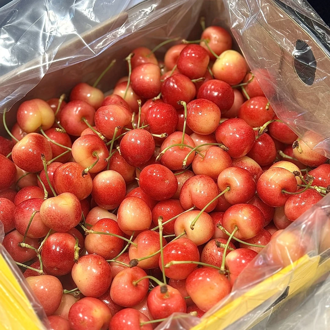 雷尼尔车厘子3J约750g 空运果 内附果径卡【1小时送货到家】黄车黄雷尼尔智利