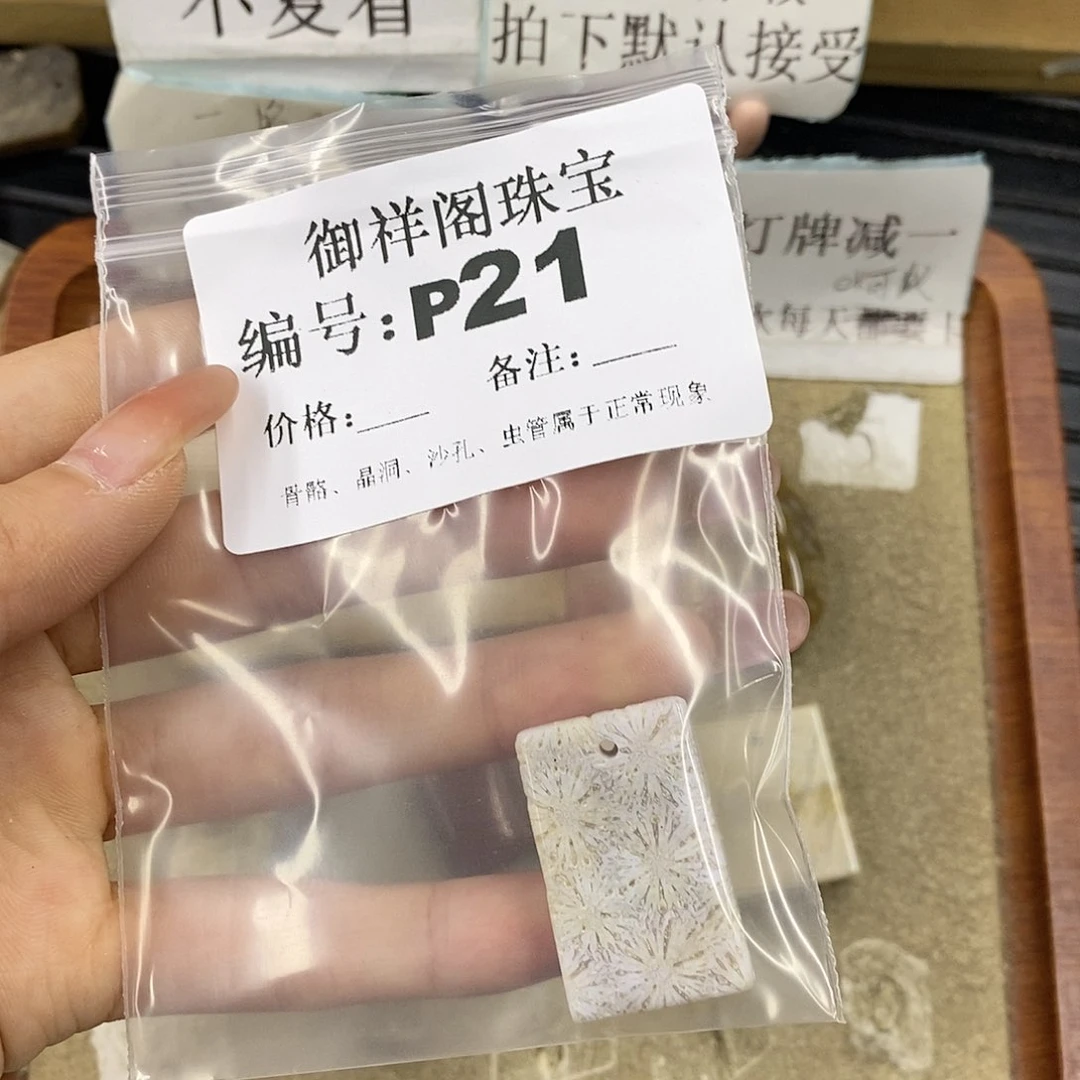 硅化珊瑚（珊瑚玉）未镶嵌颈饰清*