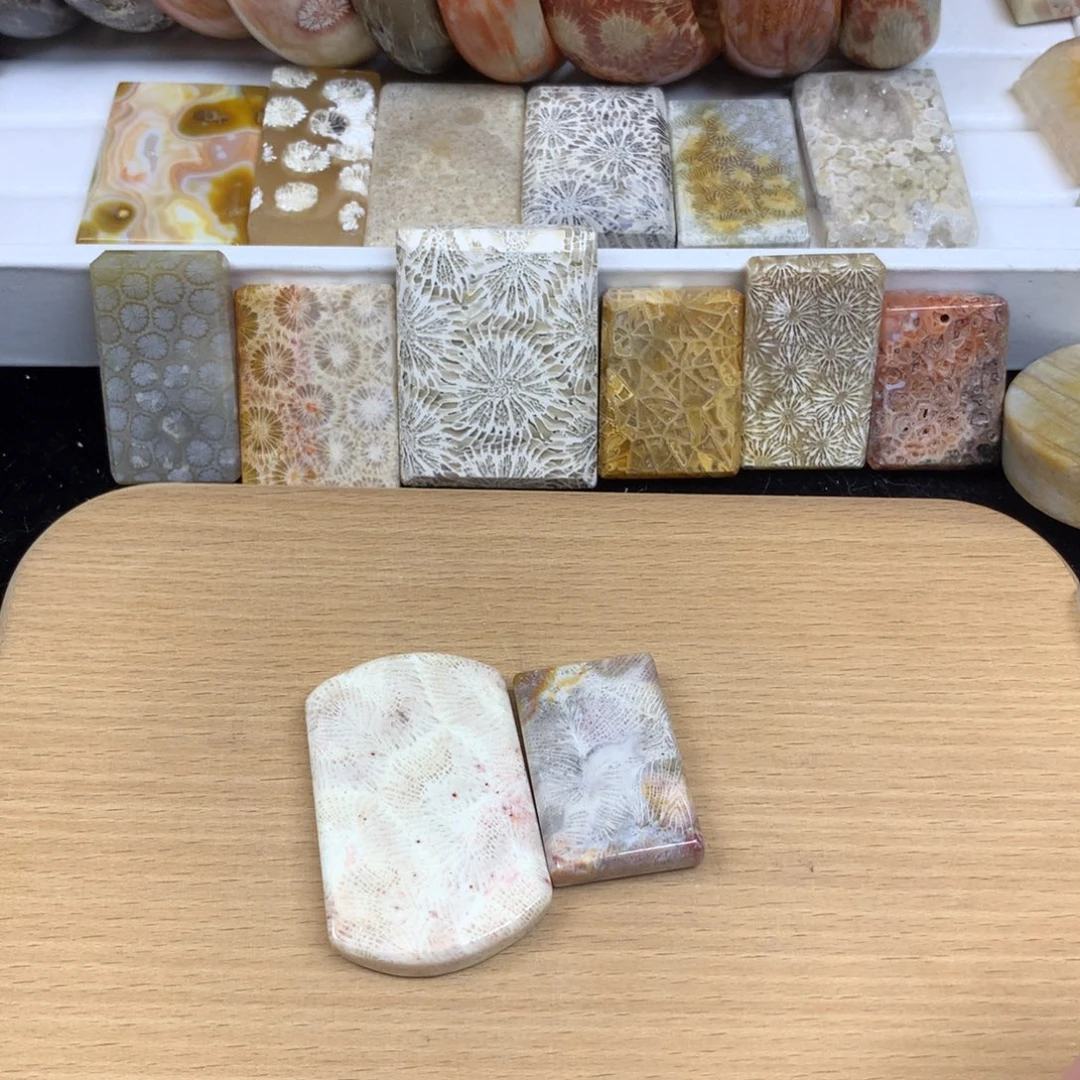 凛***颈饰未镶嵌硅化珊瑚（珊瑚玉）