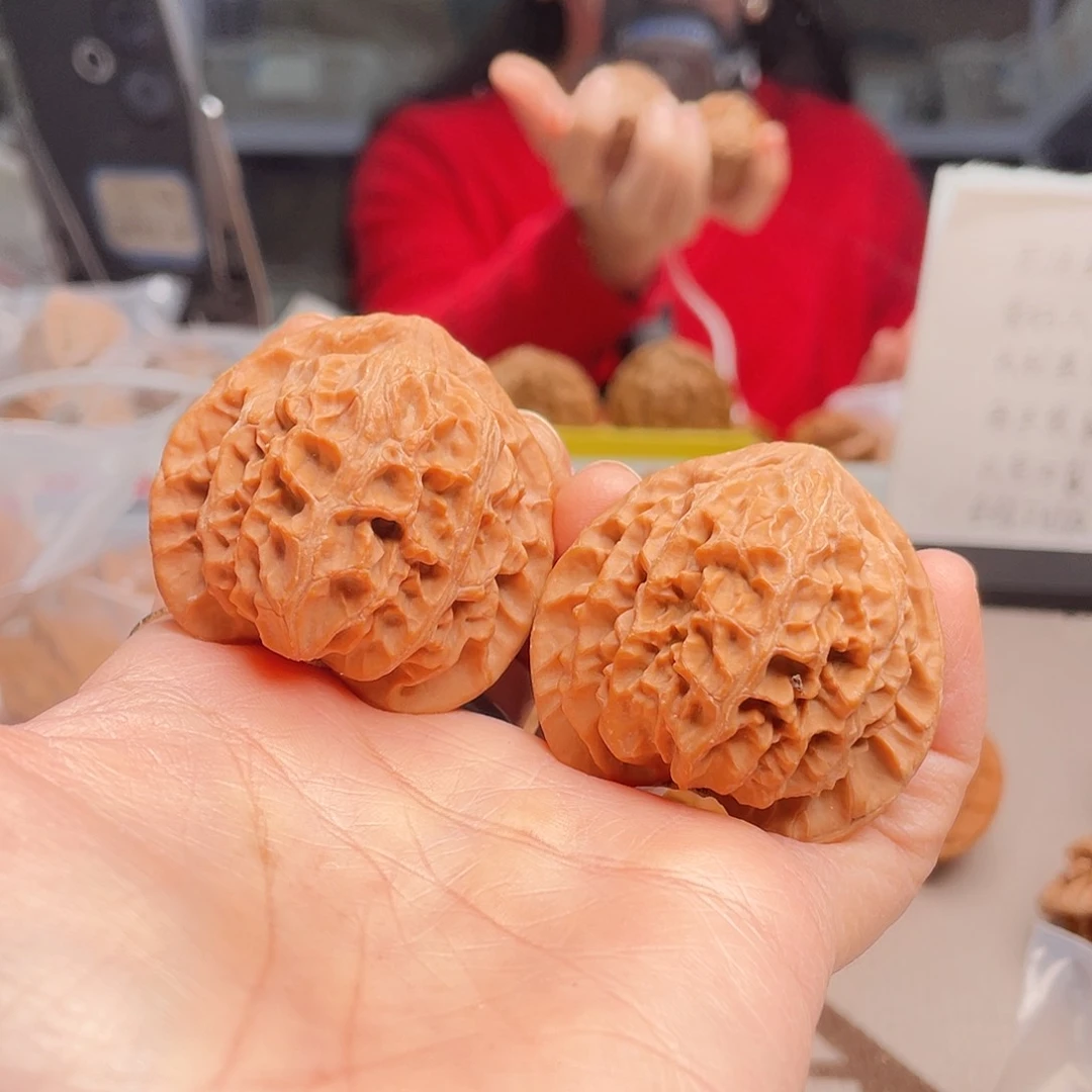 ?***来猴头龙身第十