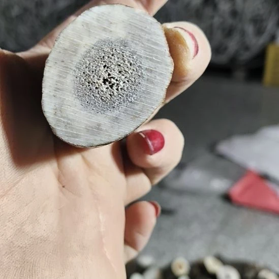 禁***区鹿角鹿角鹿角鹿角鹿角鹿角