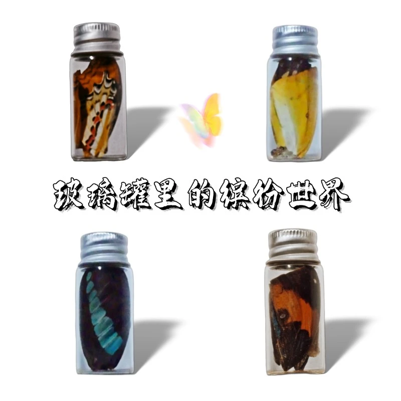 迷你玻璃罐-真蝴蝶蝶翼