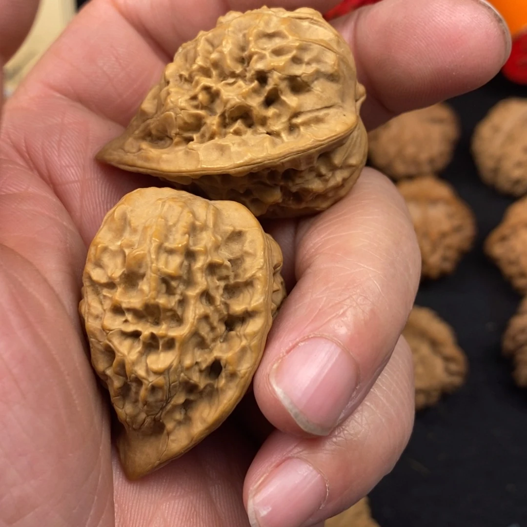 秦岭南北区有什么地方