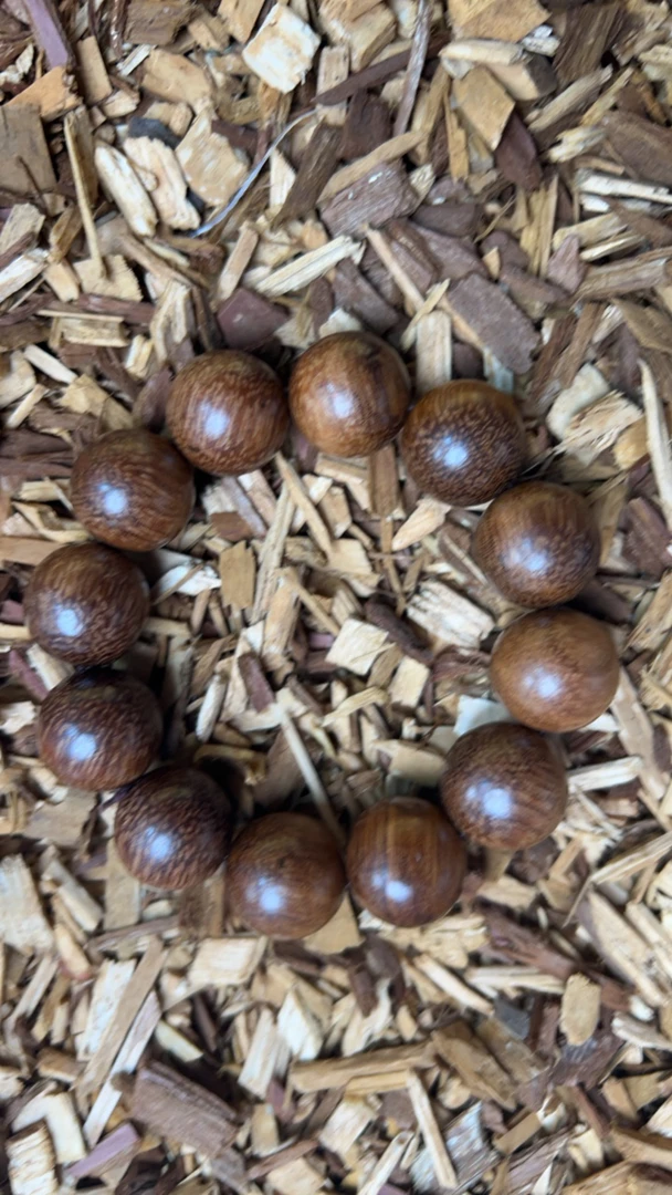 沉香q21 福莱精选高端文玩