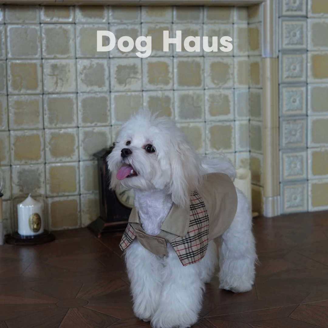 Dog Haus2025年秋冬新款狗狗衣服卡其色格子拼接英伦风风衣小型犬