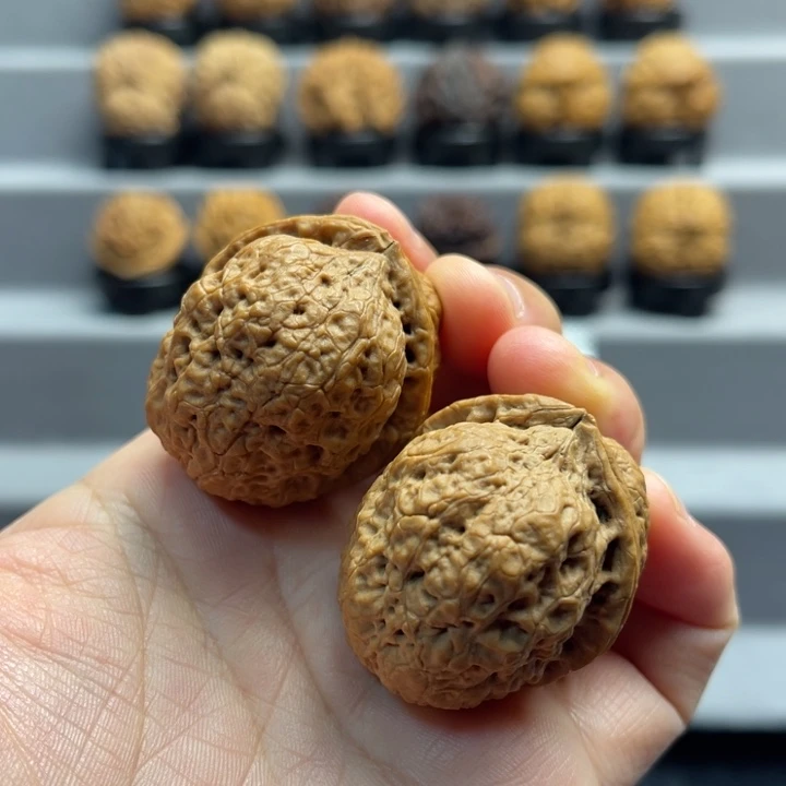 文玩核桃把件19-66