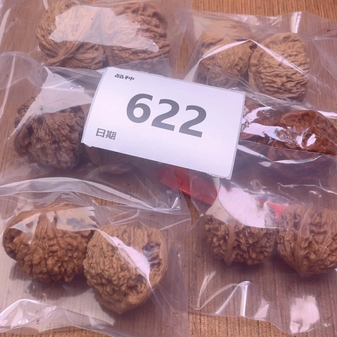 文玩核桃把件622号6对
