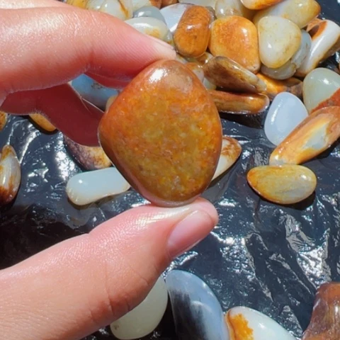 和田玉（糖玉）未镶嵌颈饰16克