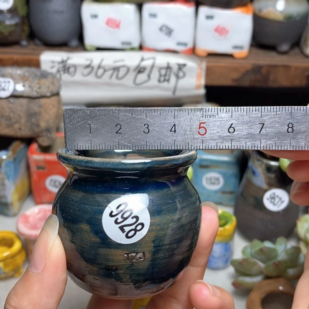 拍5送一个小礼物