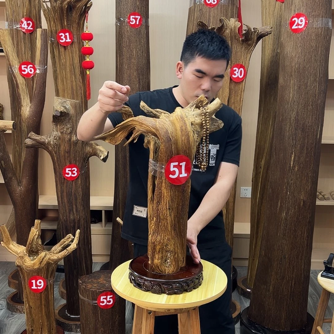 沉香沉香碎屑沉香