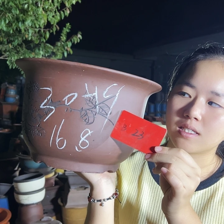 瑕疵B23花盆花盆花盆花盆