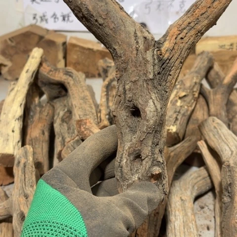 大果紫檀（缅甸花梨）凉