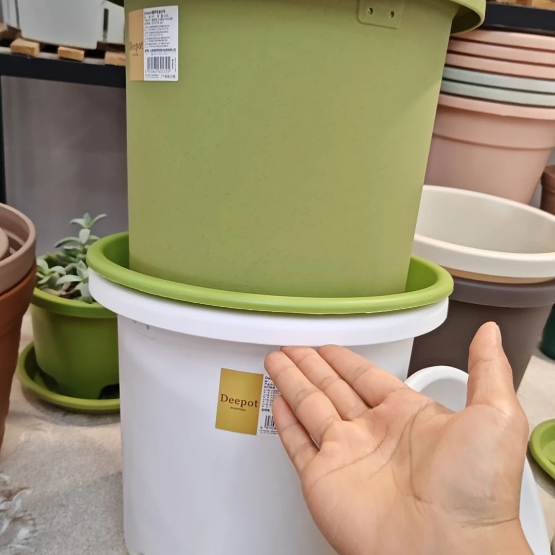 爱丽思8号，果绿白色各2个，配国产树叶拖