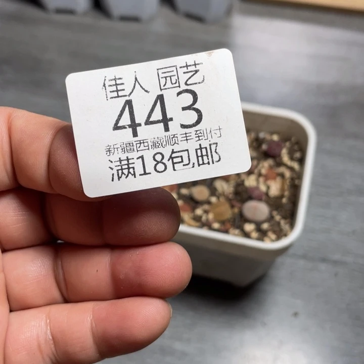 是**啊菠萝和平进程的加快推进443