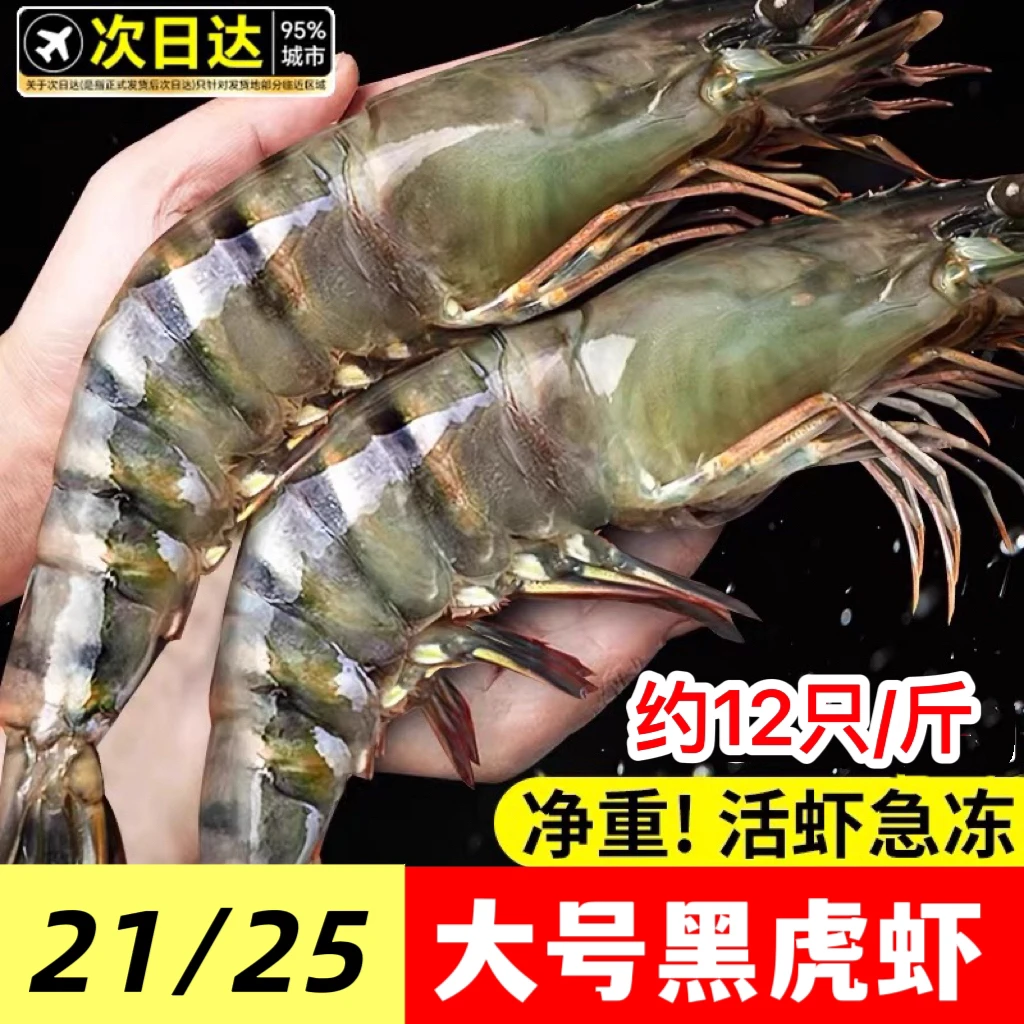 【0冰衣】2125规格鲜活黑虎虾大号无冰净重黑虎虾海捕活虾速冻