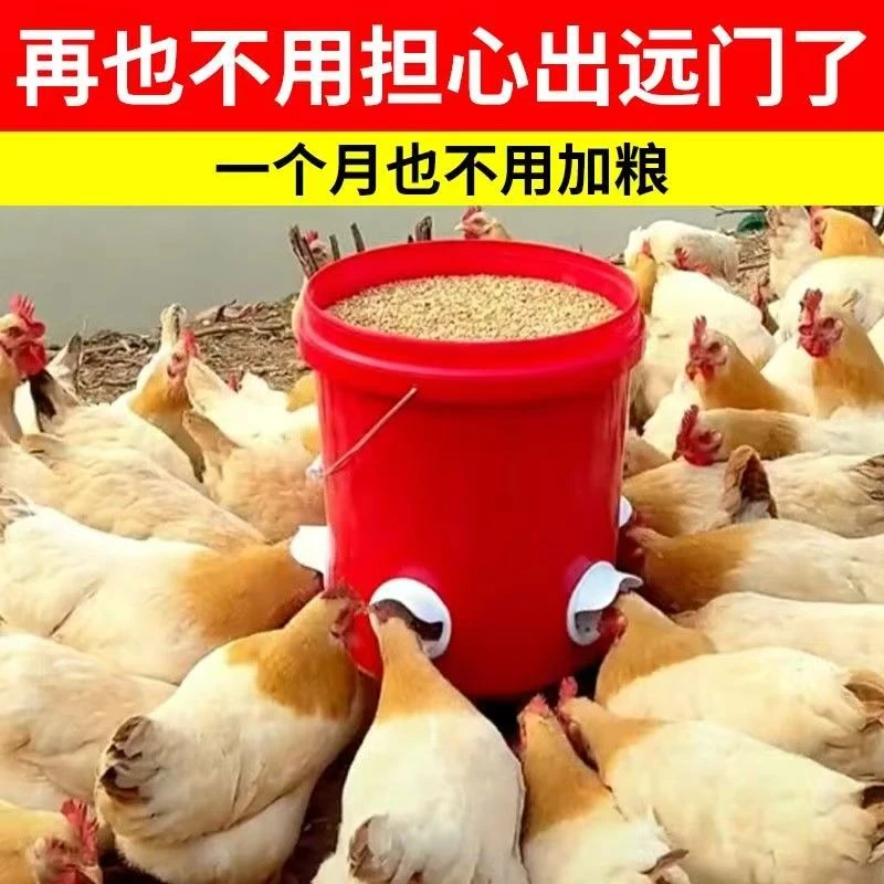 鸡鸭鹅自动喂料器家禽自动喂食器户外一体防雨鸡鸭鹅防风通用食槽