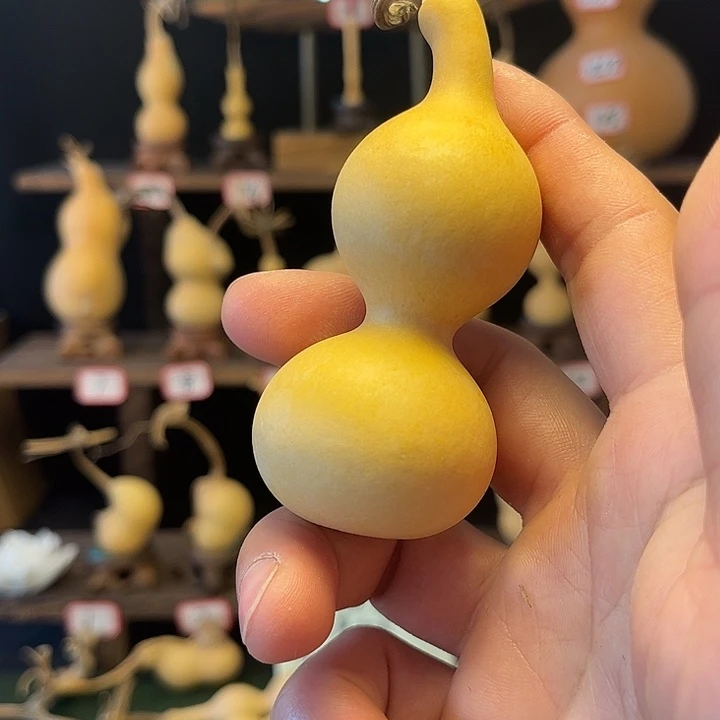 瑜**泰lullll龙龙龙龙龙龙龙