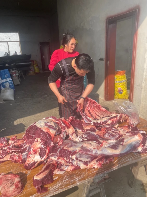 云南土黄牛 吃草牛 新鲜肉放心肉-现杀现发