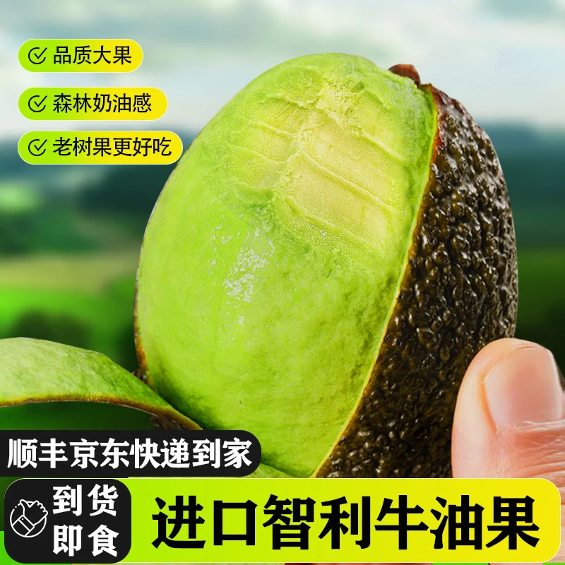 （顺丰京东生鲜特快）智利精品哈斯牛油果新鲜水果