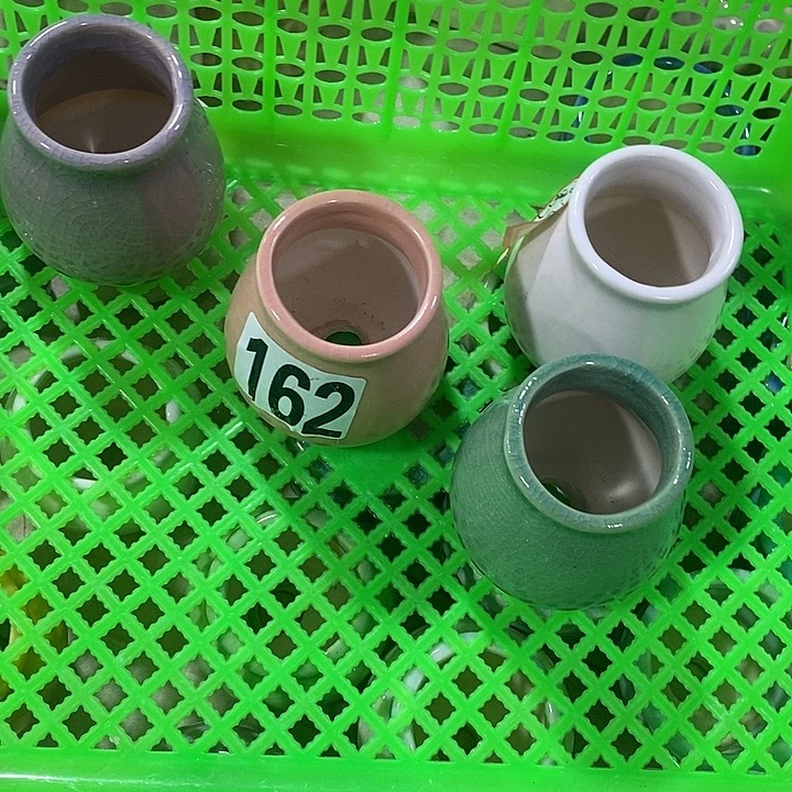 花盆抢购清货马上开始