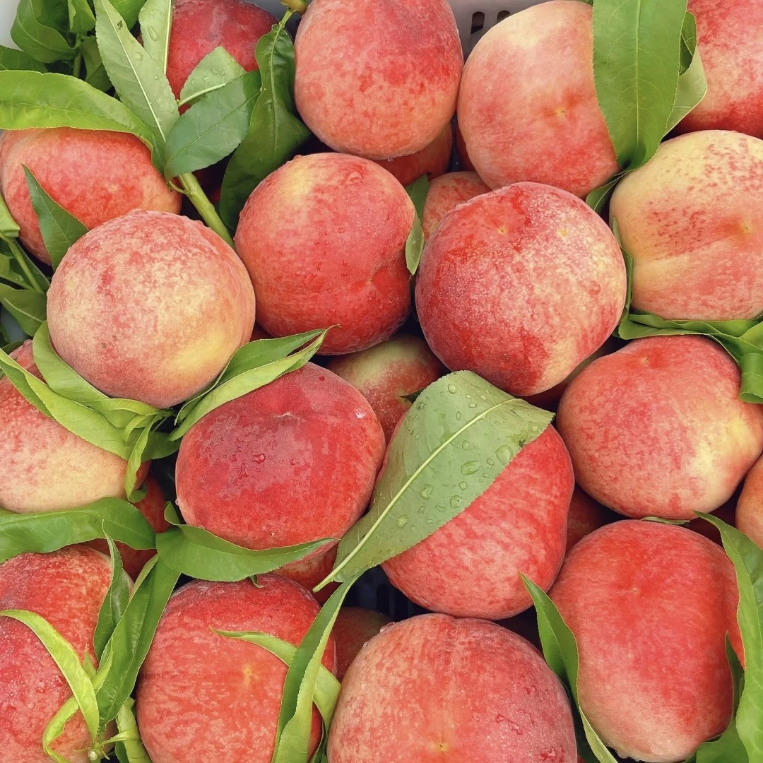 水蜜桃晶桃8号（4斤）17.8元河南省