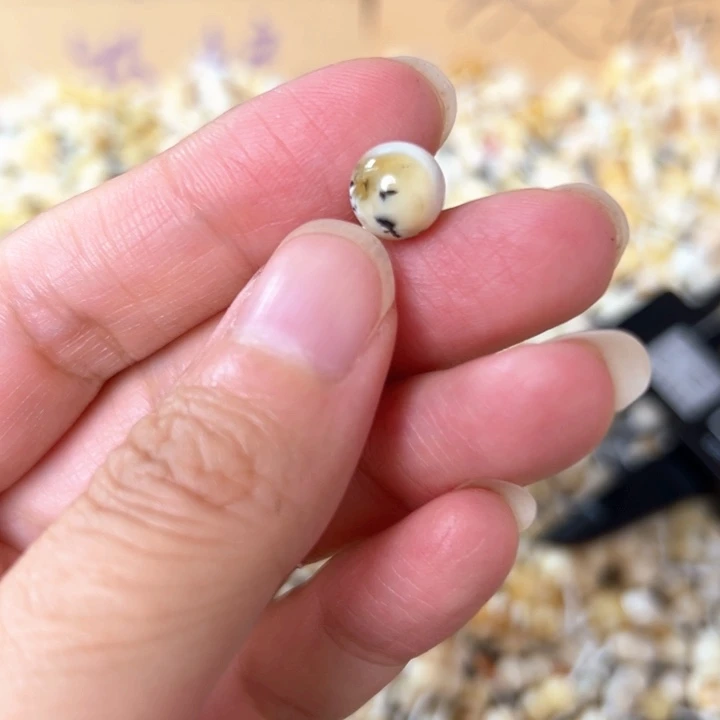 裸石蜜蜡未镶嵌8.6mm一个