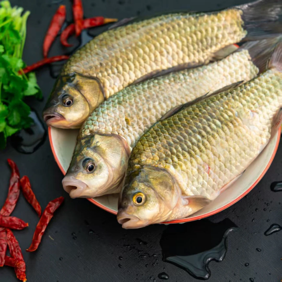 【纯野生不杀 共发5斤】小号微山湖野生鲫鱼新鲜鲜活鱼孕妇月子