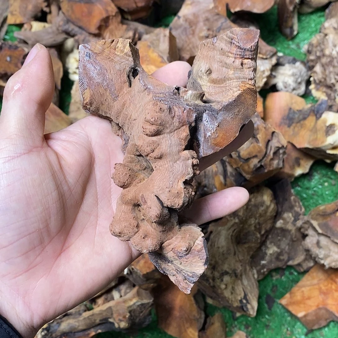 麻利呵呵哒大*2785