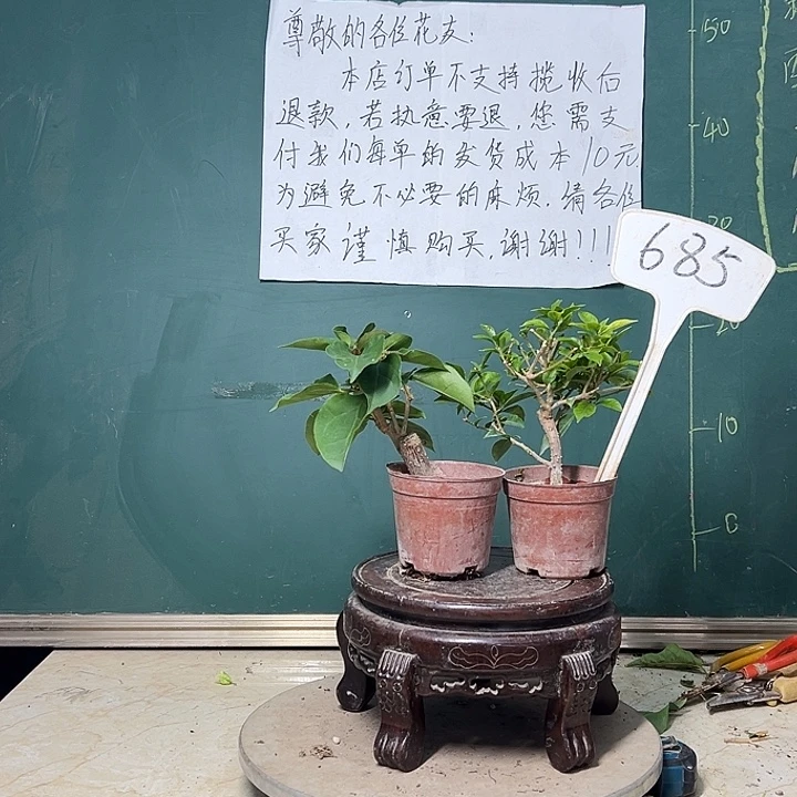 完全开放印度画报掌中宝 雪紫掌中宝685