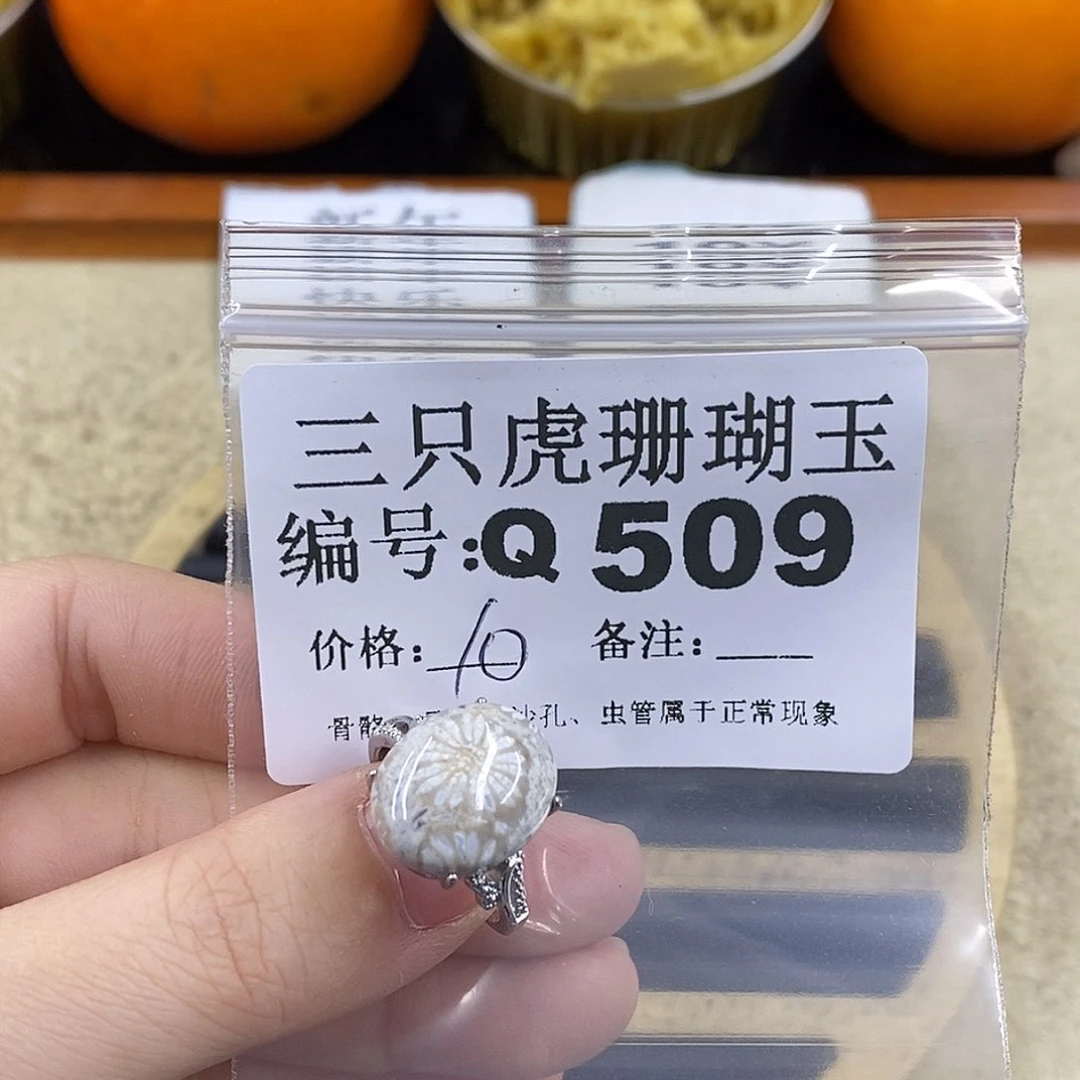 硅化珊瑚（珊瑚玉）1未镶嵌别**婆