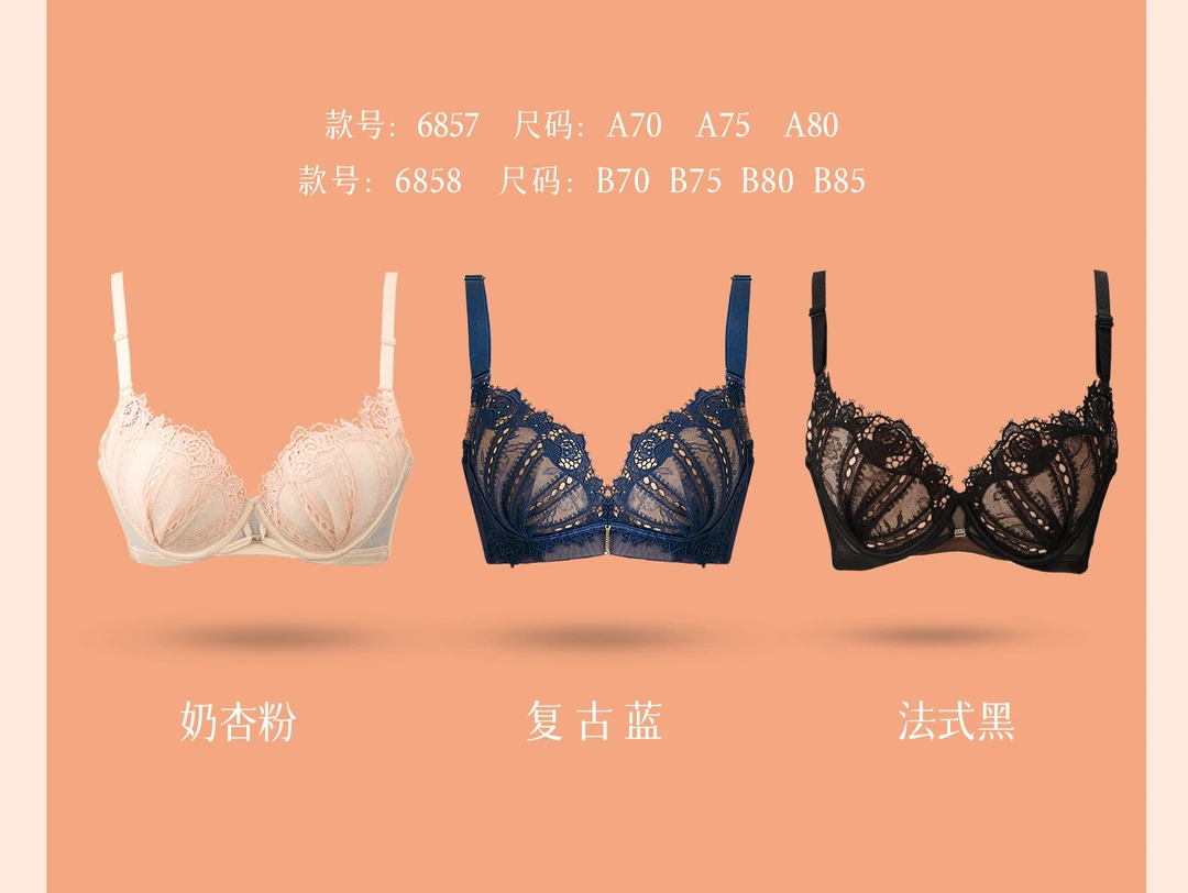 夏娃之秀6857/6858 AB同款法式浪漫性感透气正品文胸