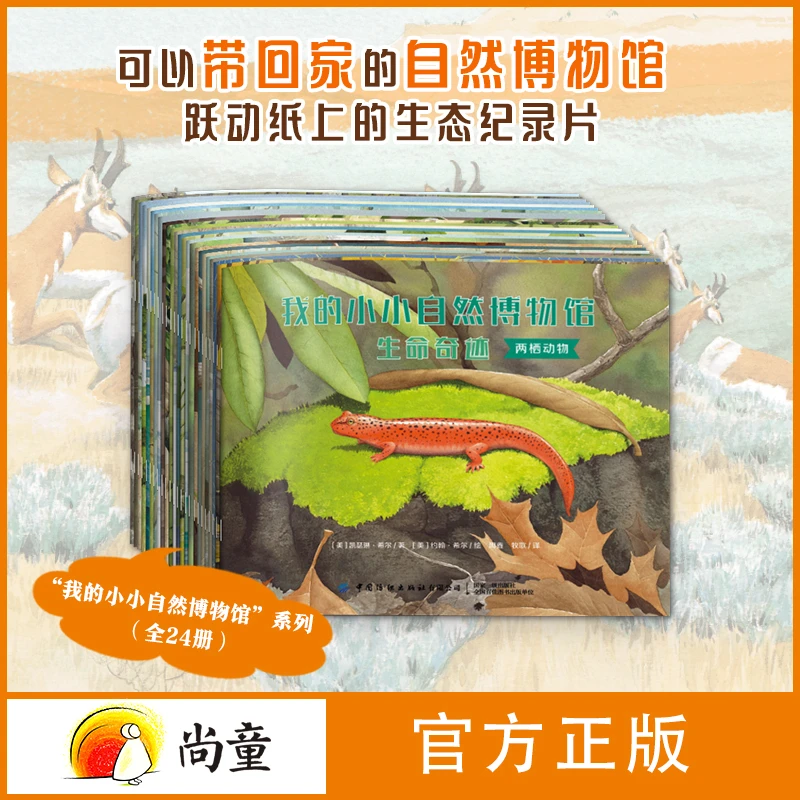 3-8岁绘本故事阳子老师推荐我的小小自然博物馆全24册儿童阅读书