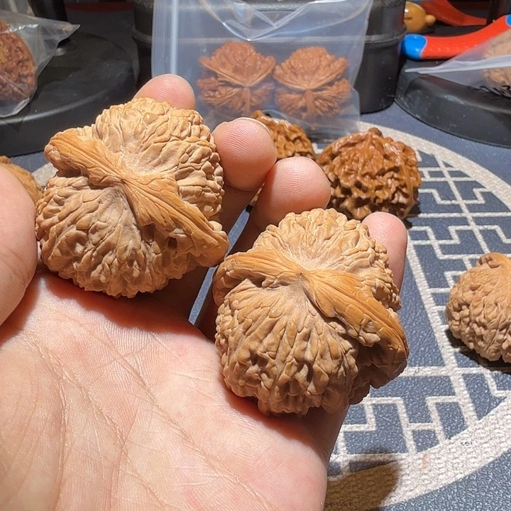 文玩核桃把件白狮子