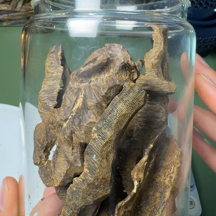 沉香手把件流***N海南天然野棋楠鸡母虫老香块料61克