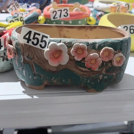 多肉植物花盆花盆