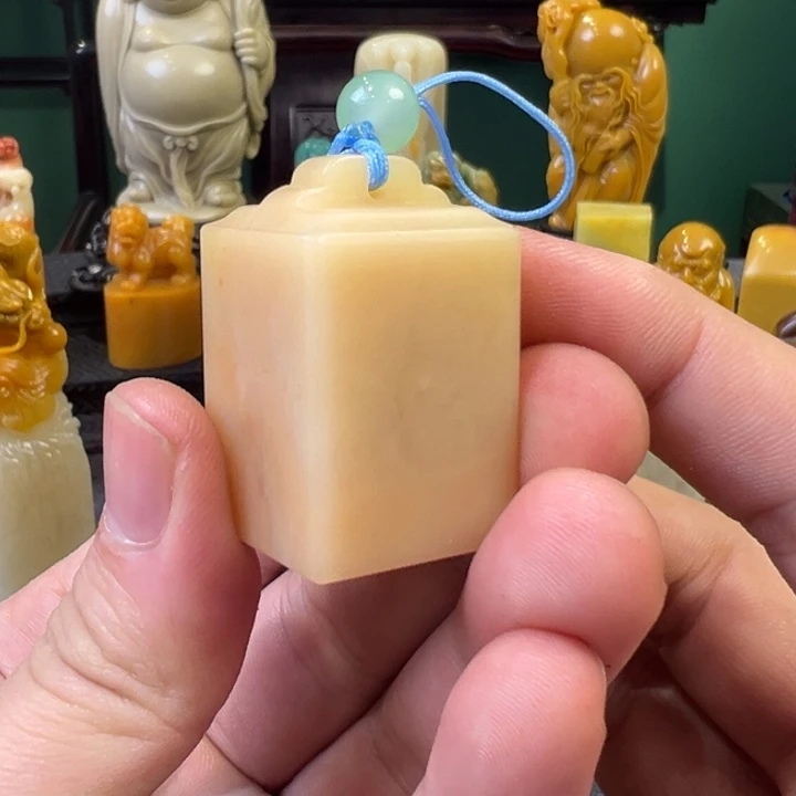 老挝石保利瓦钮印章