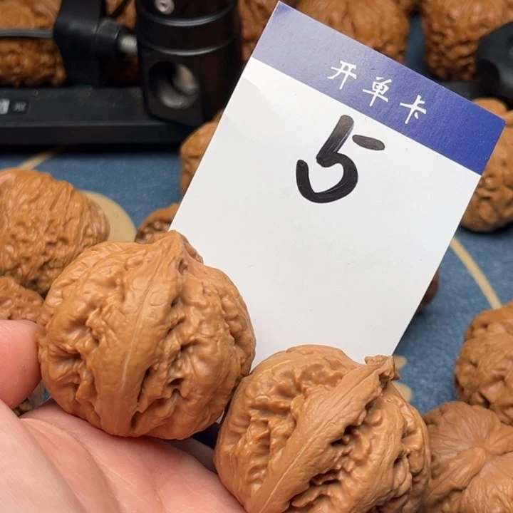 文玩核桃吊坠霸王龙 40全品 5