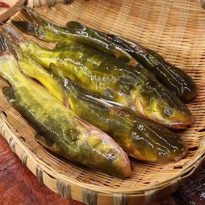 东北冷水嘎牙子淡水鱼4斤