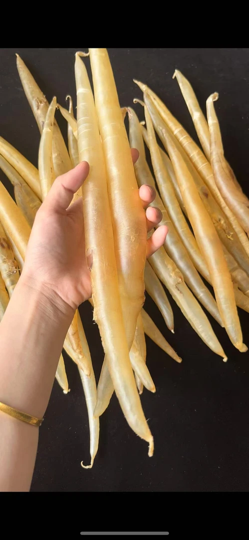 25头深海鳗鱼胶 厚肉款营养食补煲汤