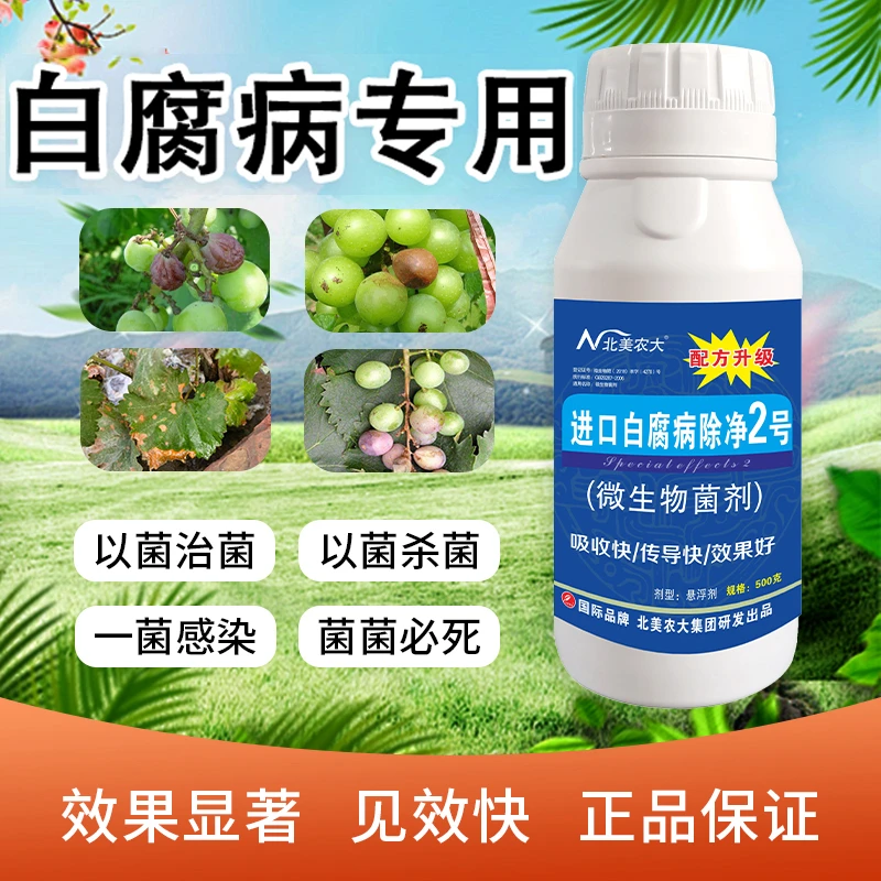 白腐病专用杀菌剂茄子葡萄提子阳光玫瑰白腐病防控微生物叶面肥