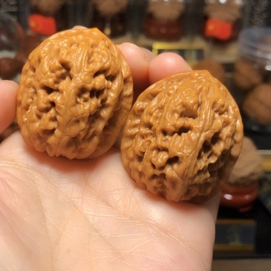 精品野生小众：红莲