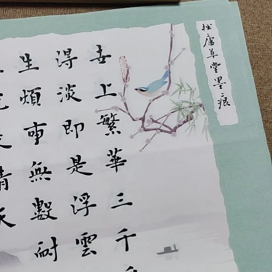 孤***梅书法庄盛华书法作品
