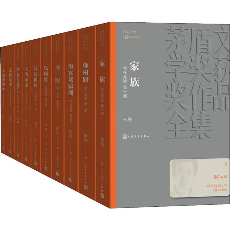 正版 你在高原(10册) 张炜 9787020140299