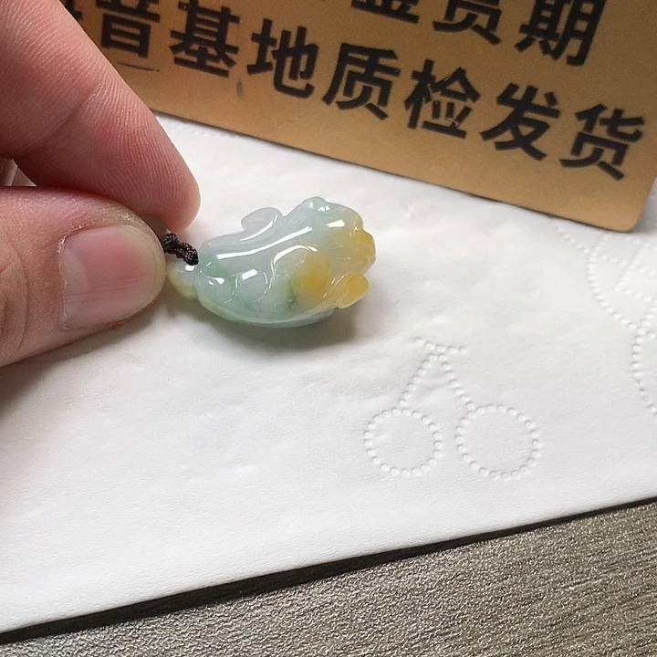颈饰未镶嵌翡翠百财