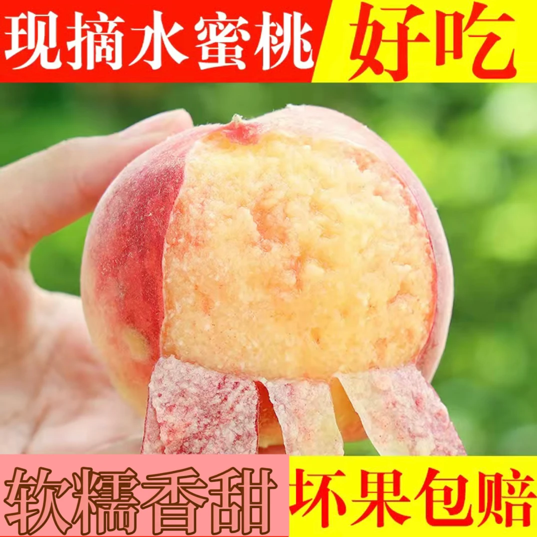 正宗陕西高山水蜜桃 软糯香甜新鲜当季水果多汁鲜甜现摘现发